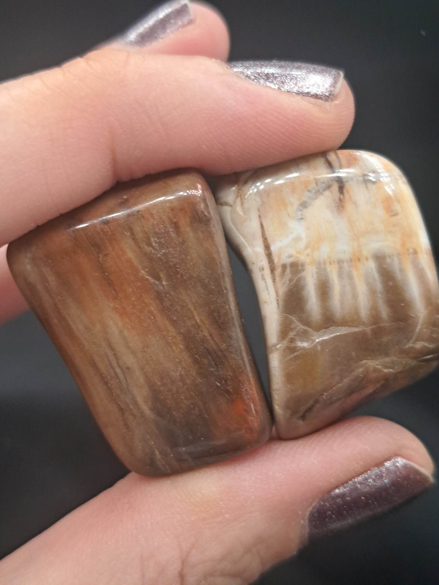 Petrified Wood Tumble - Intuitive Pick
