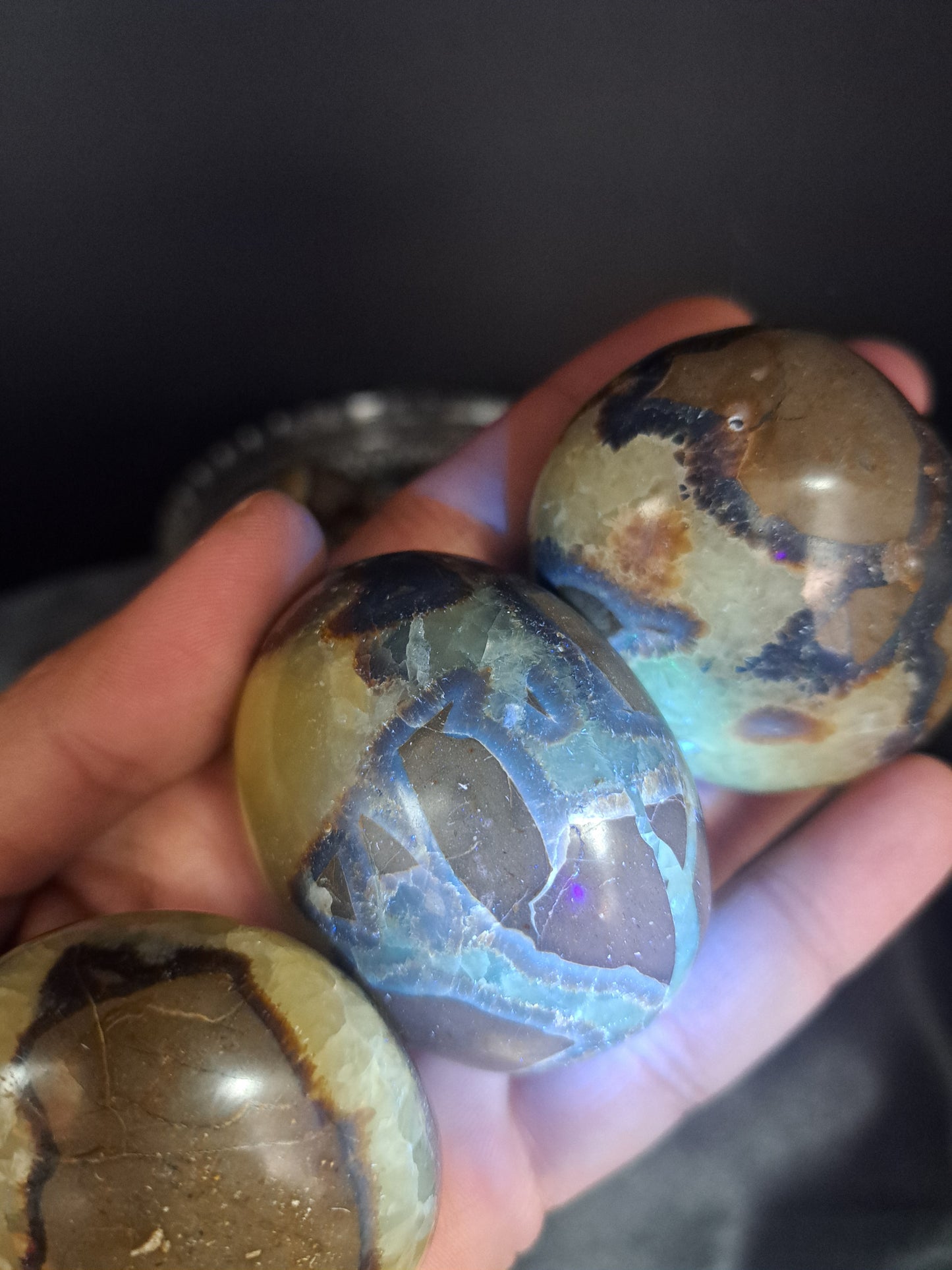 Septarian Palm Stone - Intuitive Pick