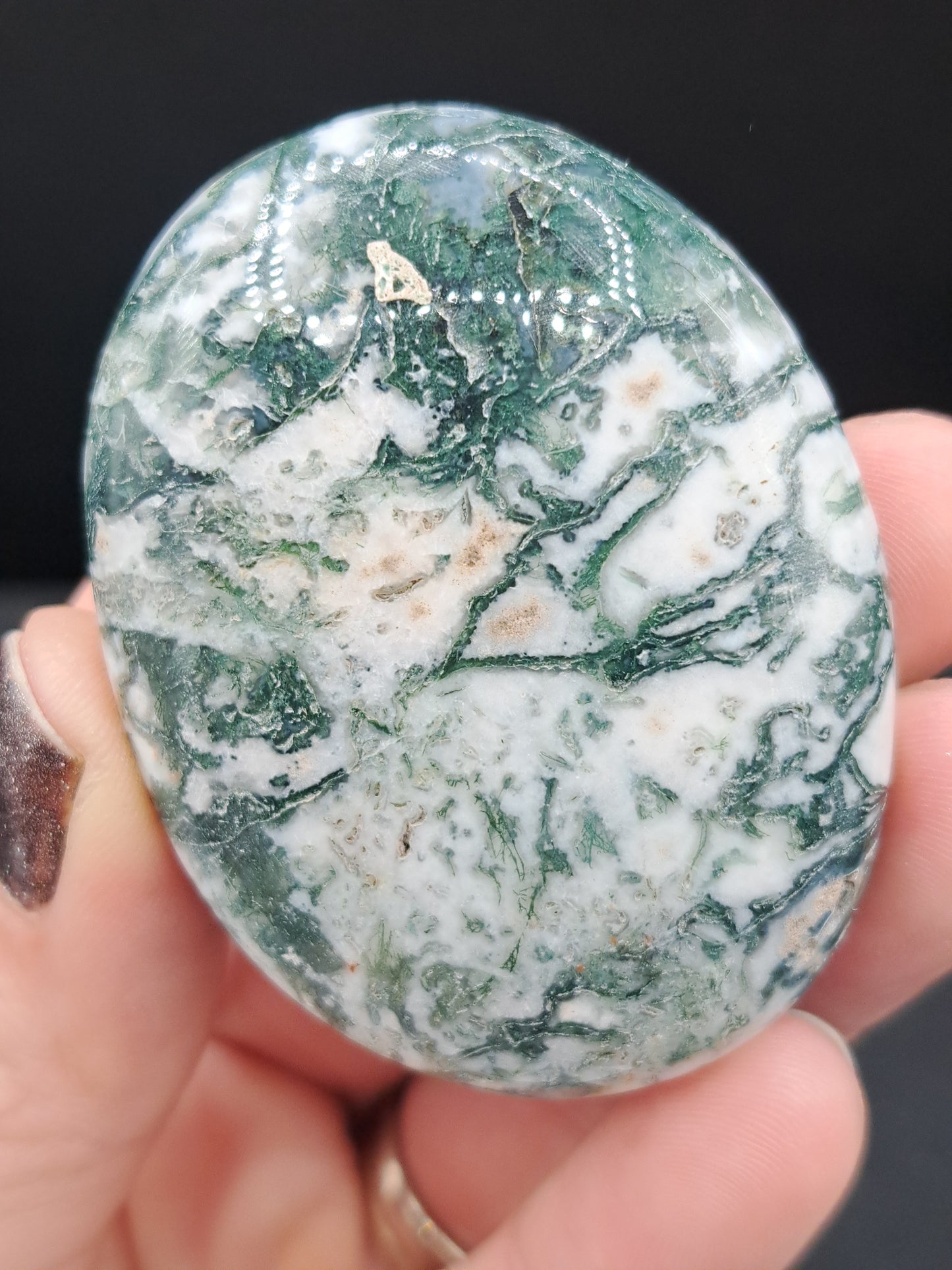 Moss Agate Palm Stone - You Choose