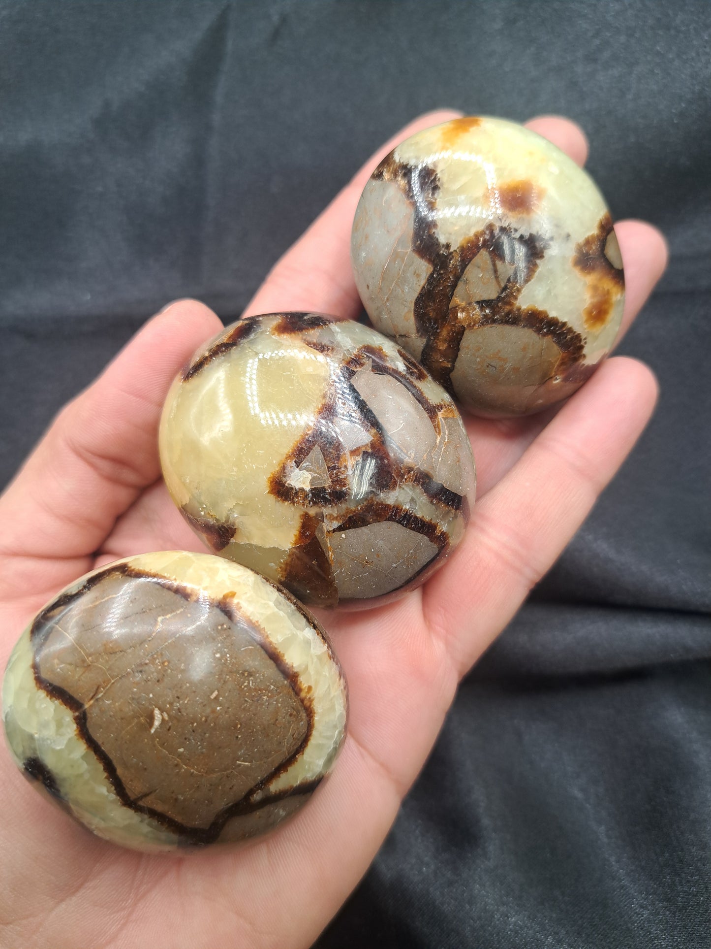 Septarian Palm Stone - Intuitive Pick