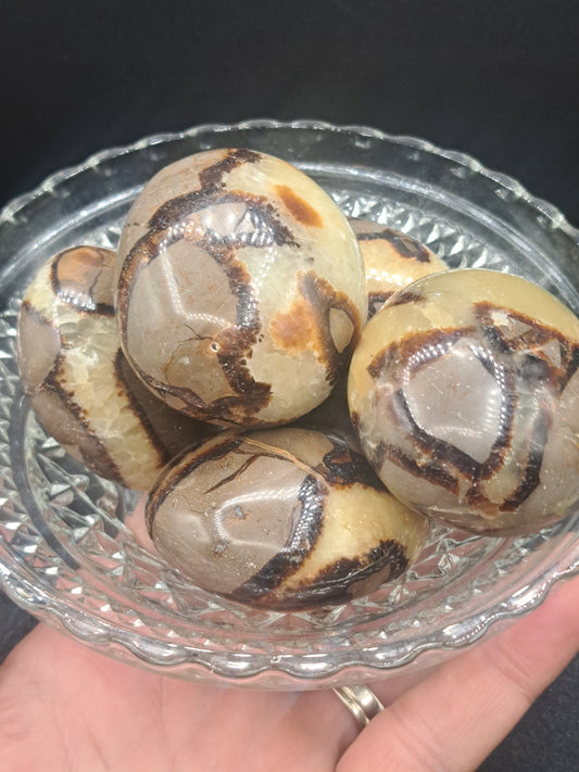 Septarian Palm Stone - Intuitive Pick