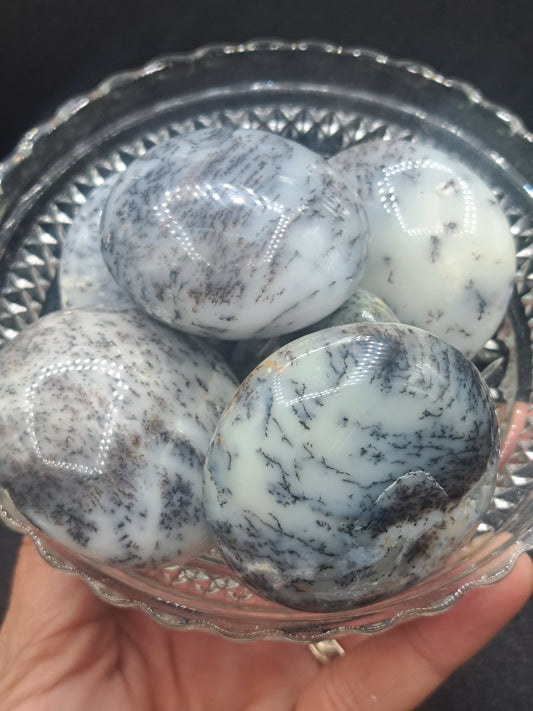 Dendritic Agate Palm Stone - You Choose