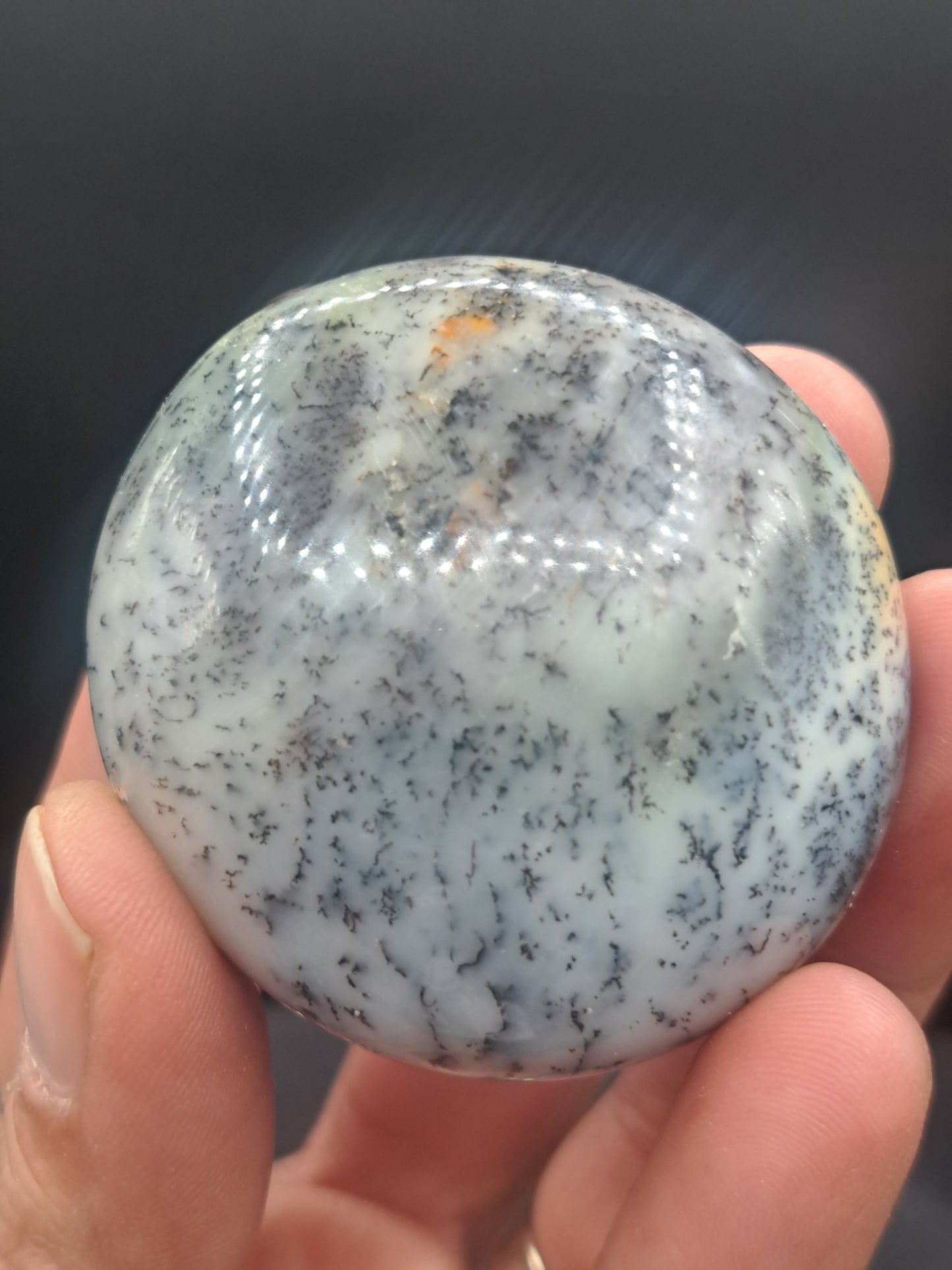 Dendritic Agate Palm Stone - You Choose