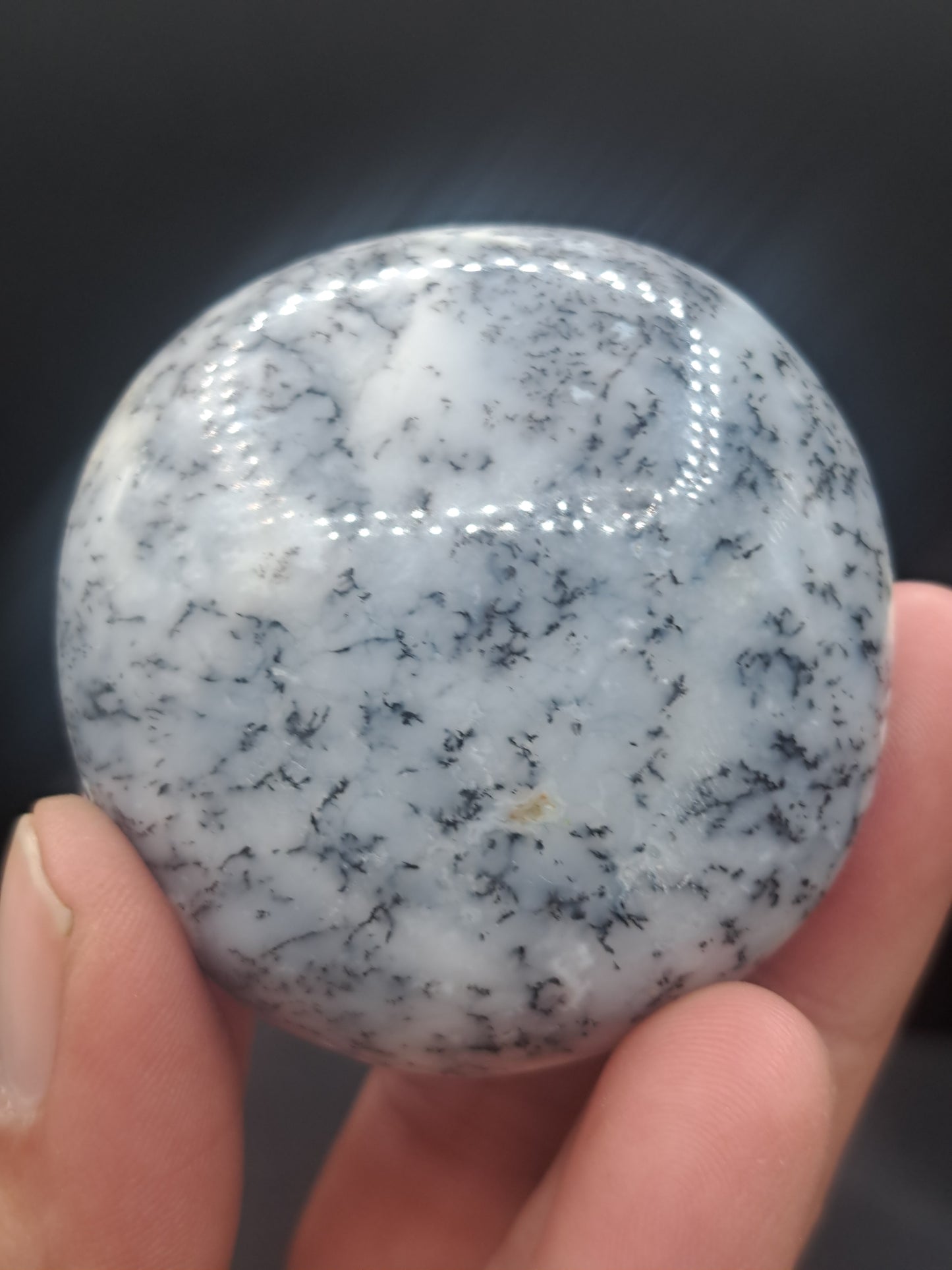 Dendritic Agate Palm Stone - You Choose