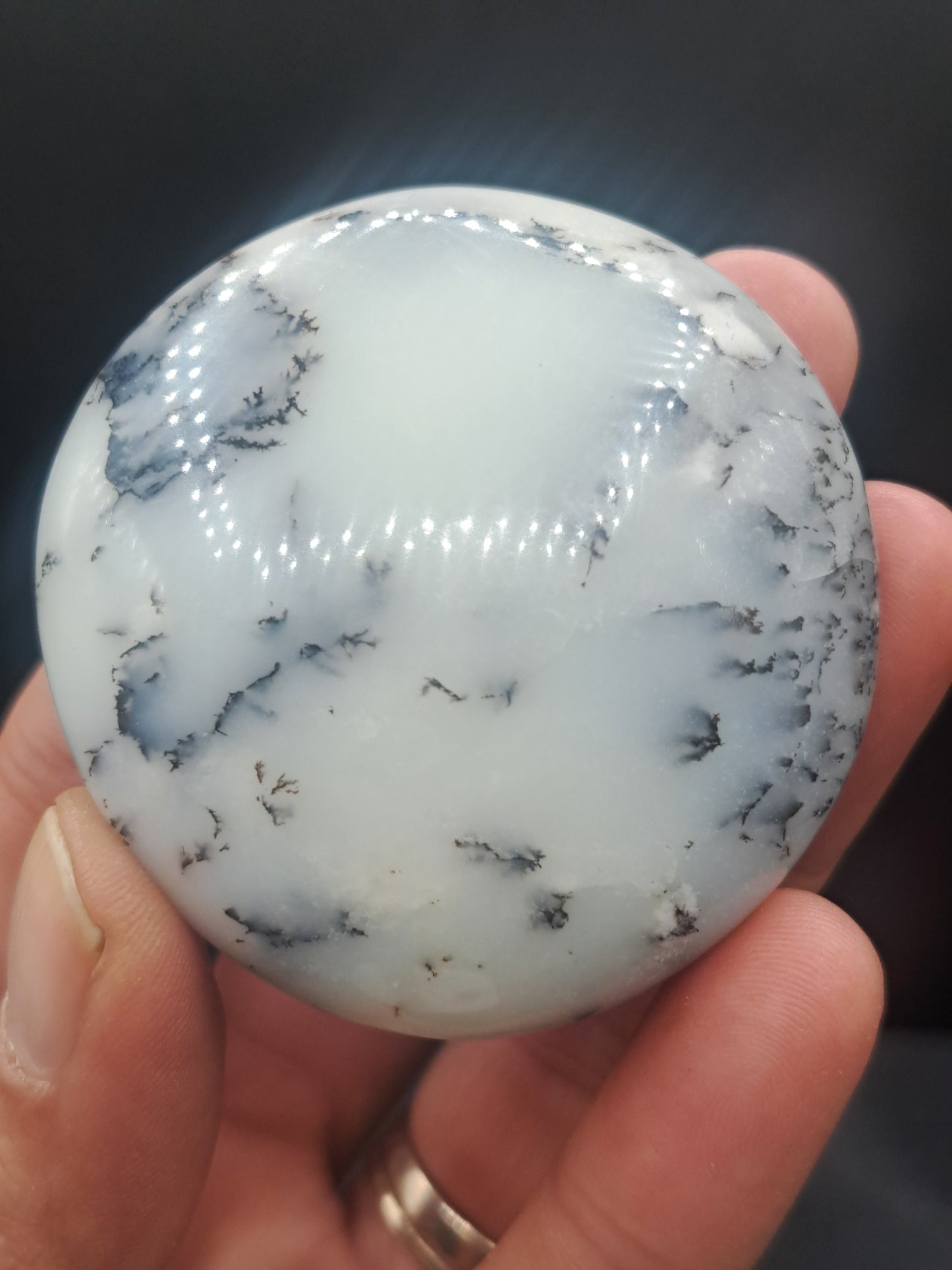 Dendritic Agate Palm Stone - You Choose