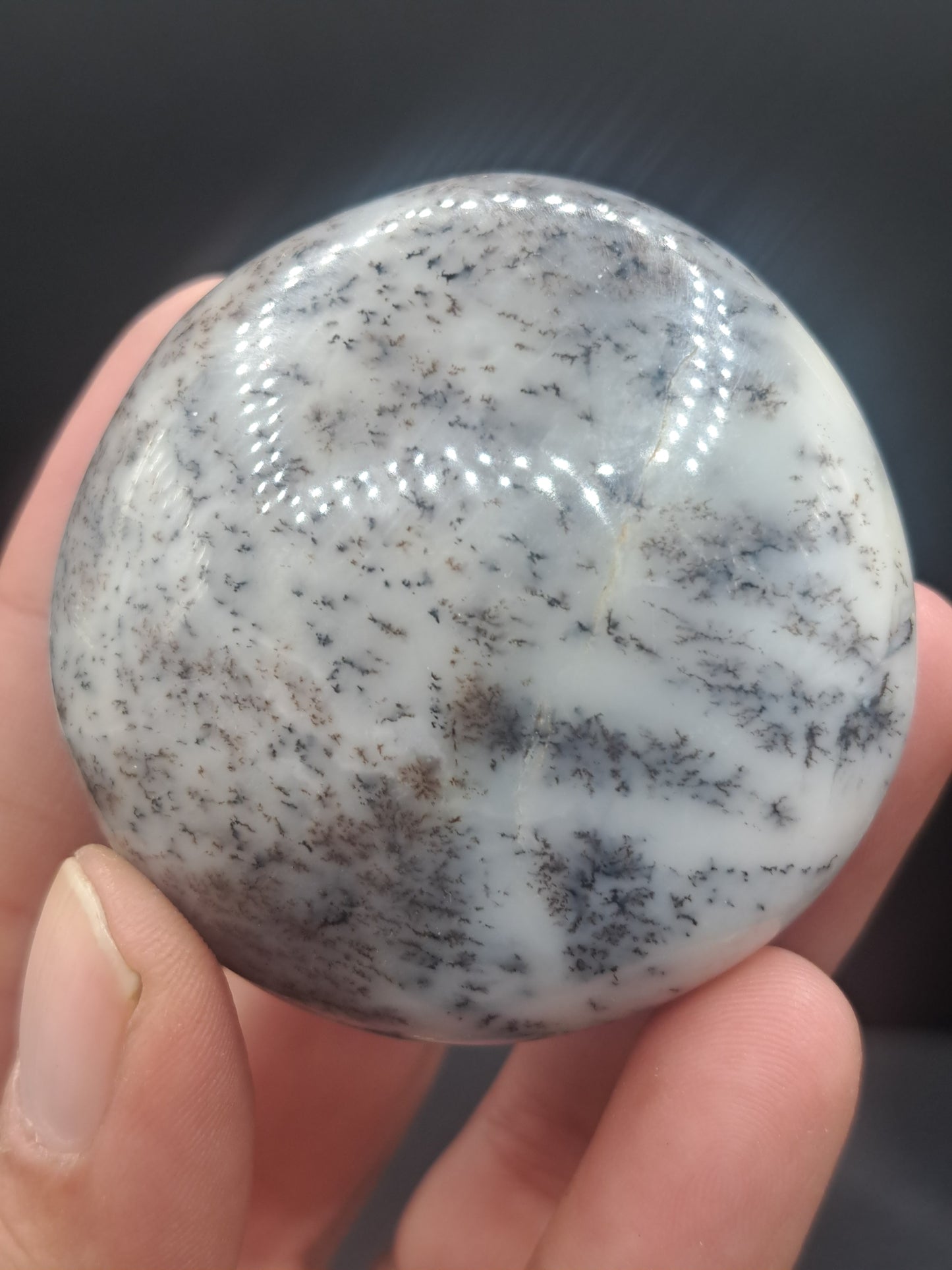 Dendritic Agate Palm Stone - You Choose