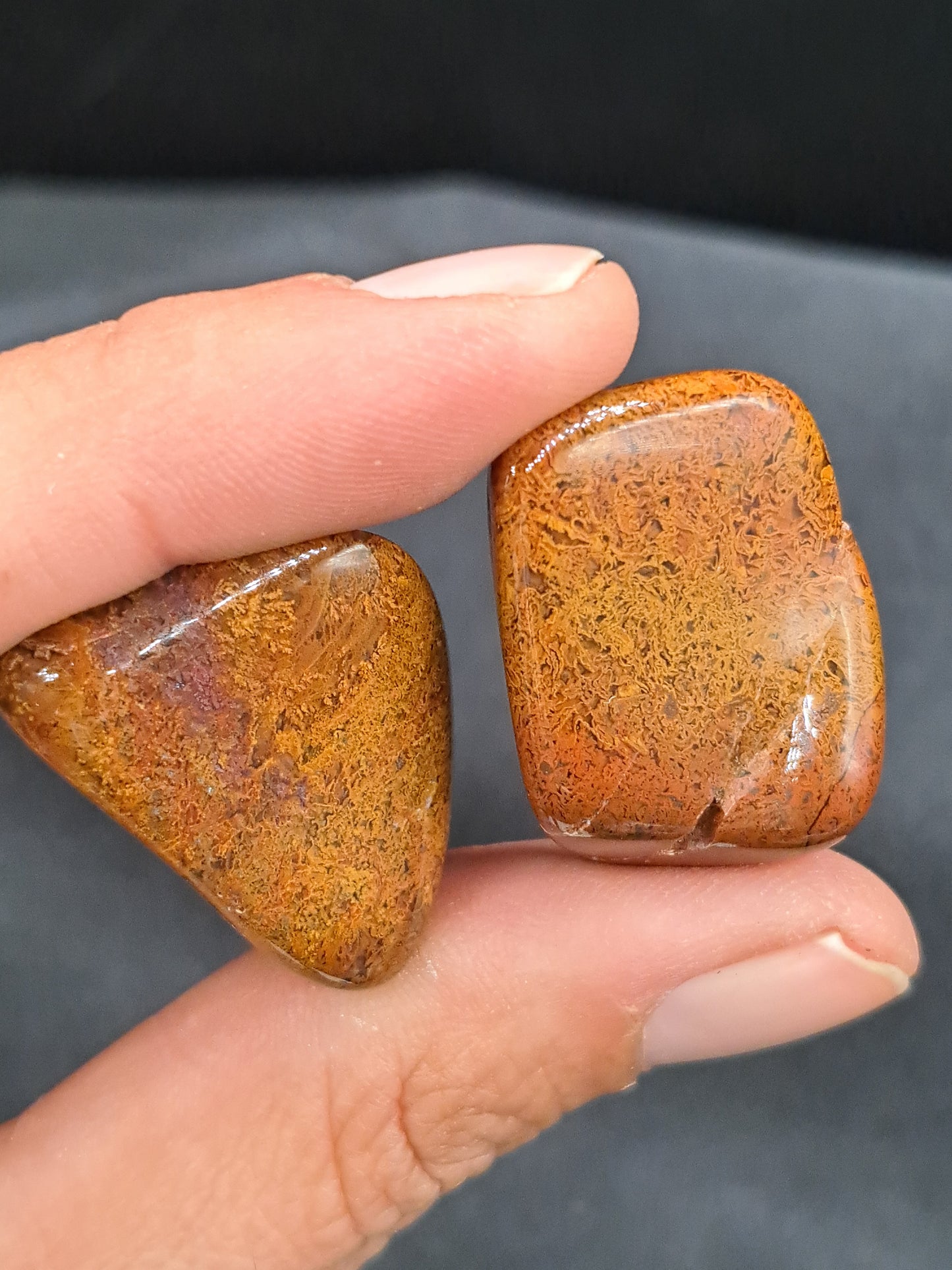 Montana Moss Agate Tumble - Intuitive Pick