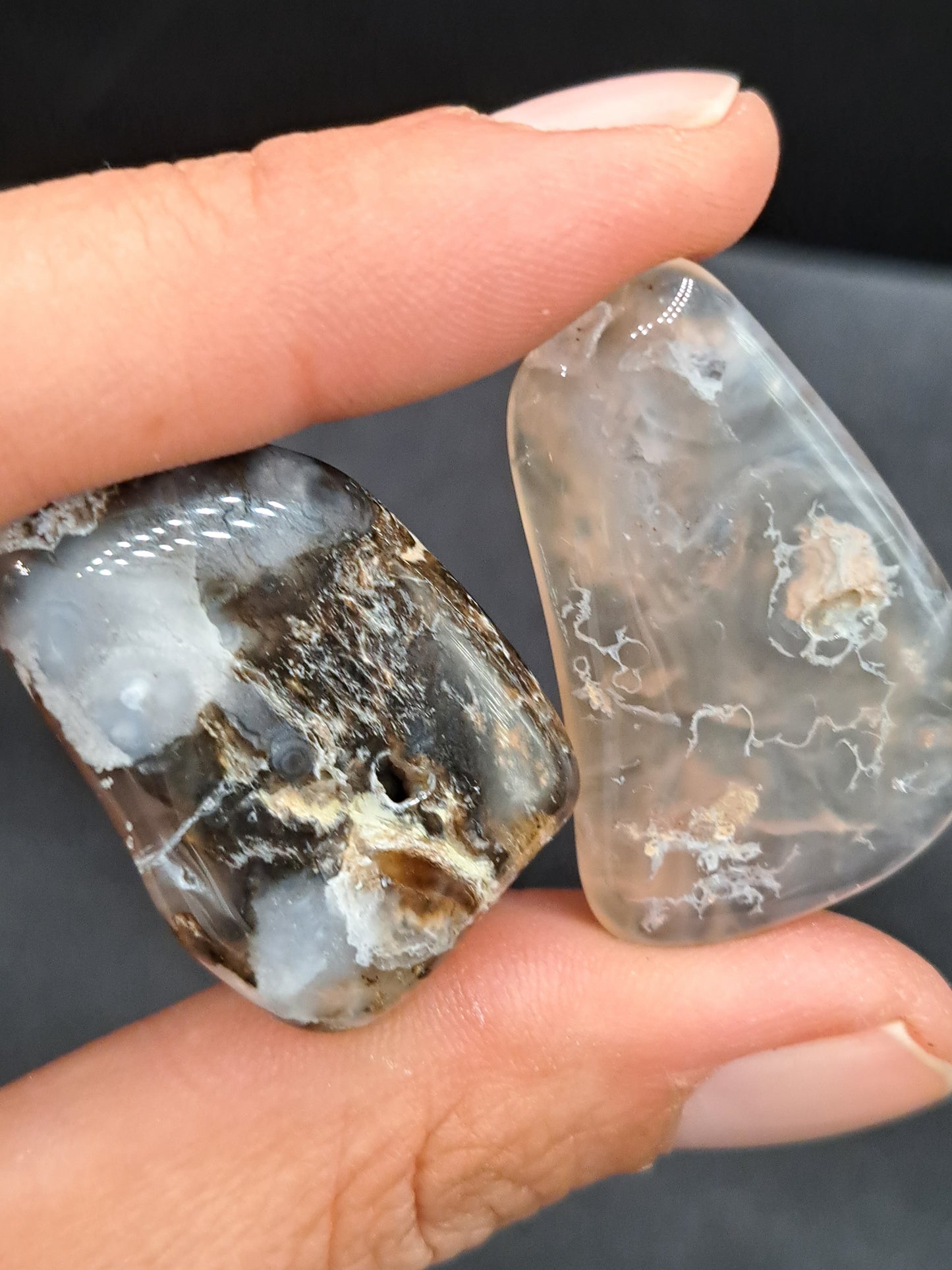 South Dakota Chalcedony Tumble - Intuitive Pick