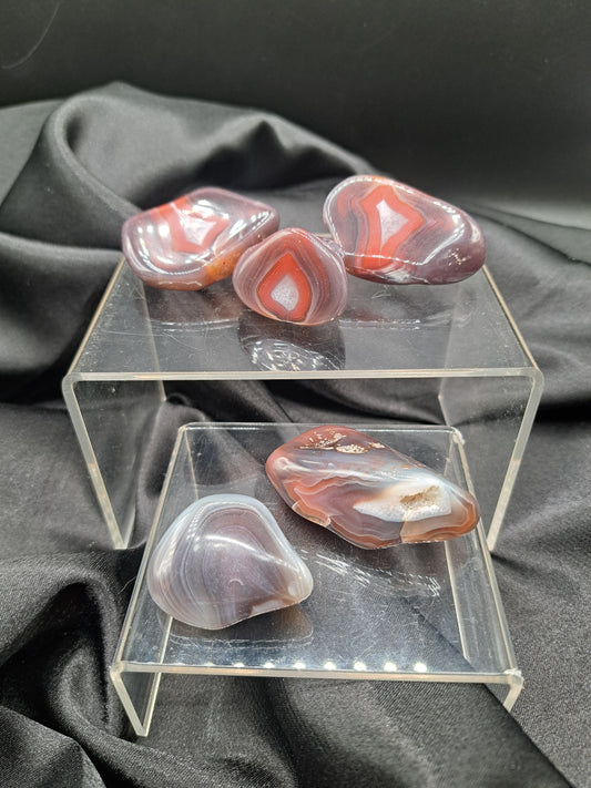 The Smoky Scorpio - TikTok Claimed